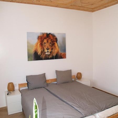 Dar Makai Surf Hotel Tamraght Kültér fotó