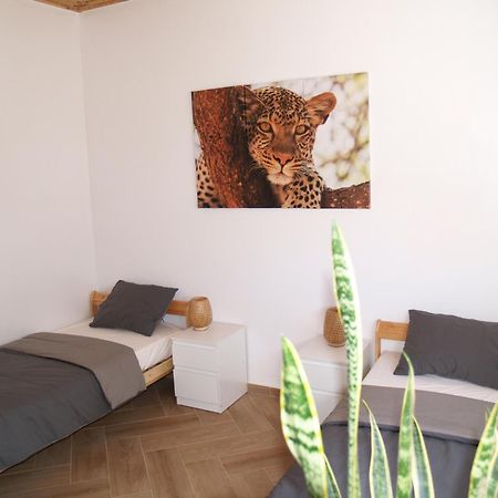 Dar Makai Surf Hotel Tamraght Kültér fotó