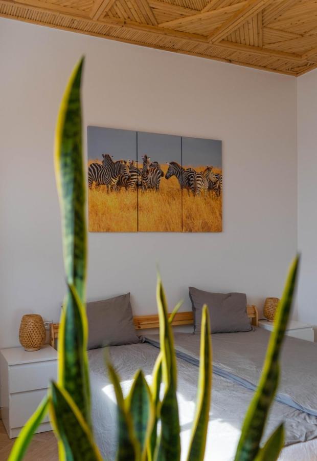 Dar Makai Surf Hotel Tamraght Kültér fotó