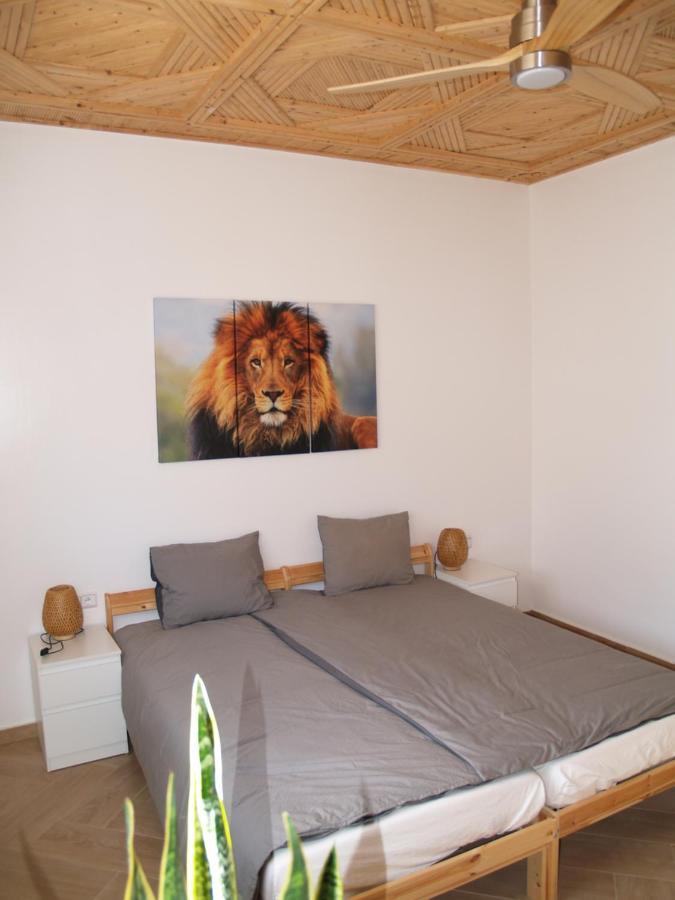 Dar Makai Surf Hotel Tamraght Kültér fotó