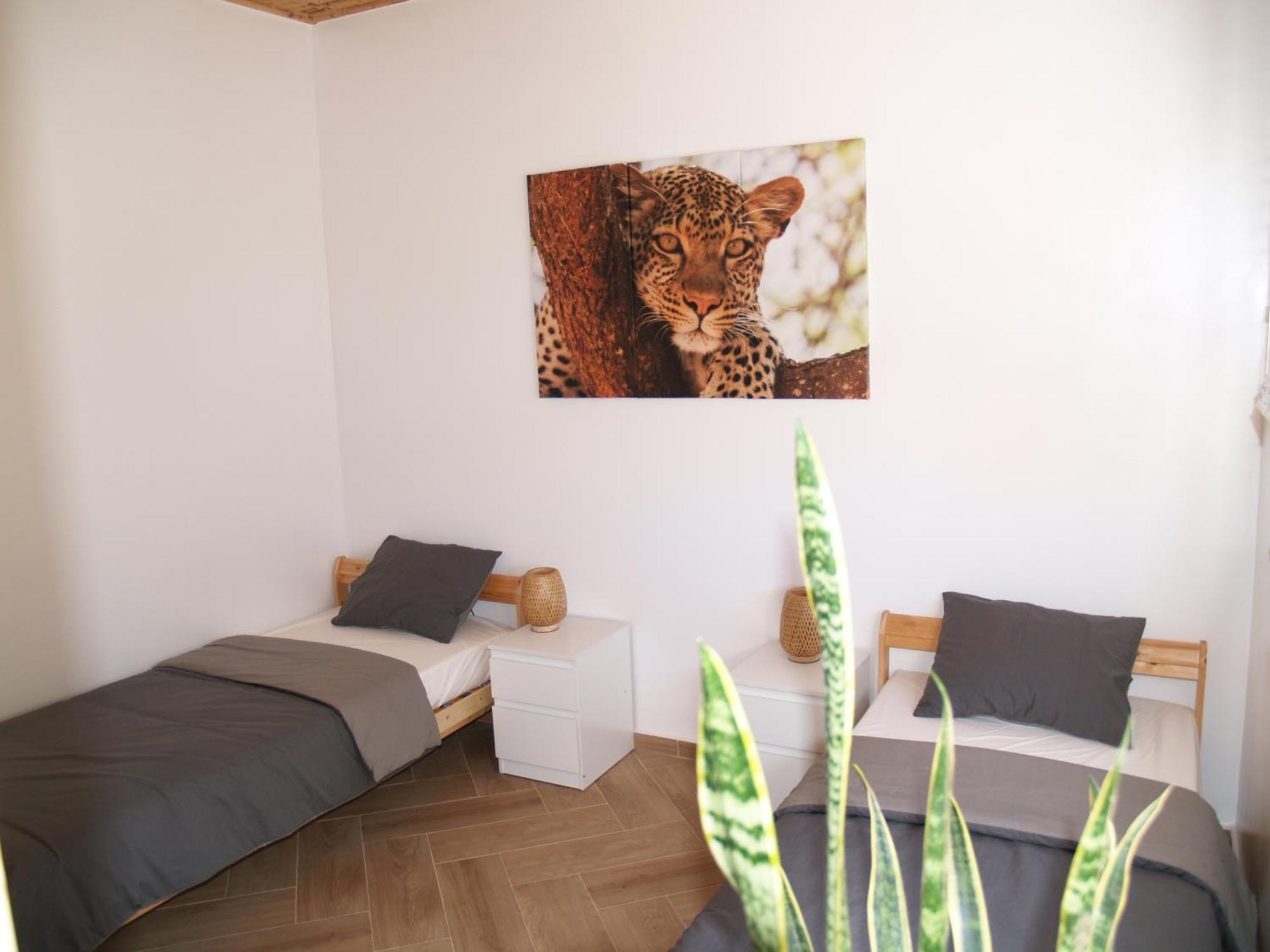 Dar Makai Surf Hotel Tamraght Kültér fotó